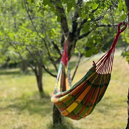 Casa vacanze 8 Personnes Dans Un écrin De Verdure Avec Vue *