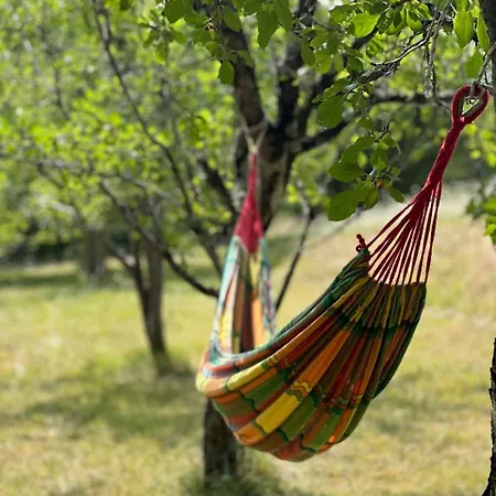 8 Personnes Dans Un Ecrin De Verdure Avec Vue Tatil Evi *